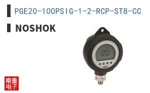 PGE20-100PSIG-1-2-RCP-ST8-CC