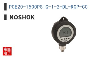 PGE20-1500PSIG-1-2-DL-RCP-CC