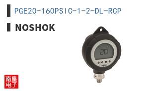 PGE20-160PSIC-1-2-DL-RCP