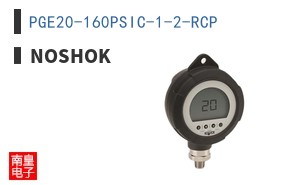 PGE20-160PSIC-1-2-RCP