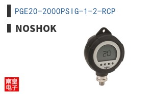 PGE20-2000PSIG-1-2-RCP