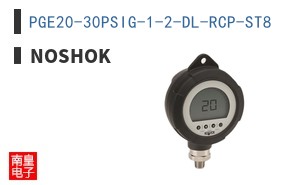 PGE20-30PSIG-1-2-DL-RCP-ST8
