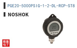 PGE20-5000PSIG-1-2-DL-RCP-ST8
