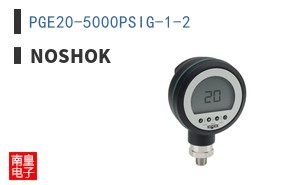 PGE20-5000PSIG-1-2