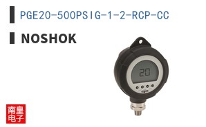 PGE20-500PSIG-1-2-RCP-CC