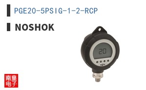 PGE20-5PSIG-1-2-RCP