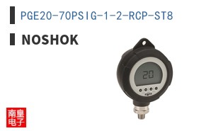 PGE20-70PSIG-1-2-RCP-ST8