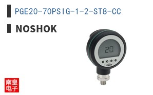 PGE20-70PSIG-1-2-ST8-CC