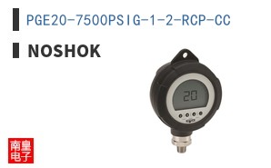 PGE20-7500PSIG-1-2-RCP-CC