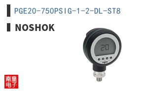 PGE20-750PSIG-1-2-DL-ST8