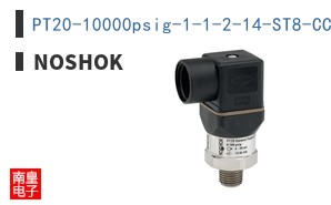 PT20-10000psig-1-1-2-14-ST8-CC