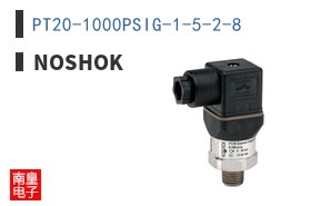 PT20-1000PSIG-1-5-2-8
