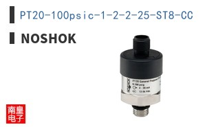 PT20-100psic-1-2-2-25-ST8-CC