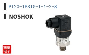 PT20-1PSIG-1-1-2-8