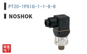 PT20-1PSIG-1-1-8-8