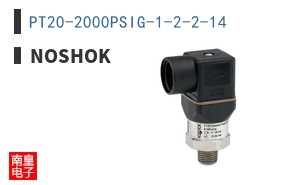 PT20-2000PSIG-1-2-2-14