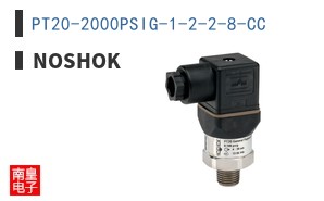 PT20-2000PSIG-1-2-2-8-CC