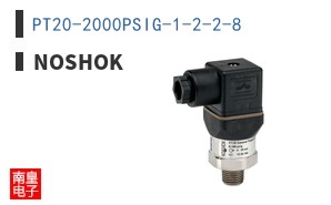 PT20-2000PSIG-1-2-2-8