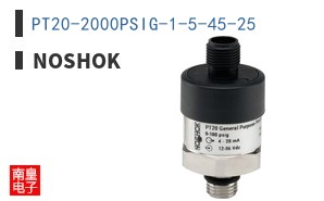 PT20-2000PSIG-1-5-45-25