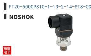 PT20-5000PSIG-1-13-2-14-ST8-CC