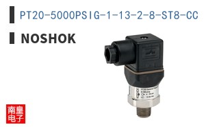 PT20-5000PSIG-1-13-2-8-ST8-CC
