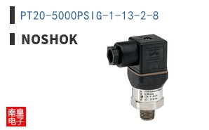 PT20-5000PSIG-1-13-2-8
