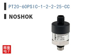 PT20-60PSIC-1-2-2-25-CC