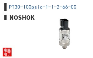 PT30-100psic-1-1-2-66-CC