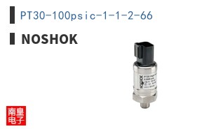 PT30-100psic-1-1-2-66