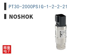 PT30-2000PSIG-1-2-2-21