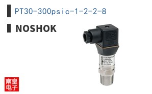 PT30-300psic-1-2-2-8