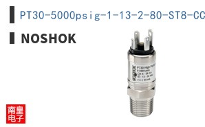 PT30-5000psig-1-13-2-80-ST8-CC