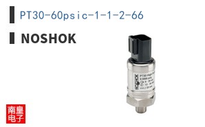 PT30-60psic-1-1-2-66