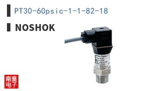 PT30-60psic-1-1-82-18