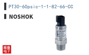 PT30-60psic-1-1-82-66-CC