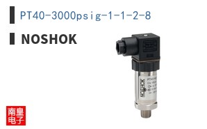 PT40-3000psig-1-1-2-8