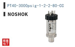 PT40-3000psig-1-2-2-80-CC