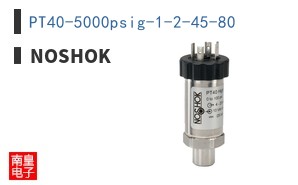 PT40-5000psig-1-2-45-80