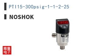 PTI15-300psig-1-1-2-25