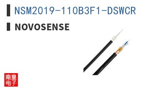 NSM2019-110B3F1-DSWCR