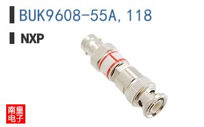 BUK9608-55A,118
