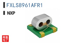 FXLS8961AFR1