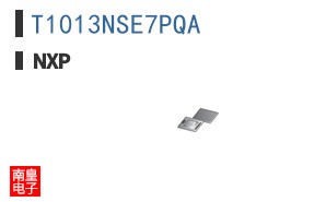 T1013NSE7PQA