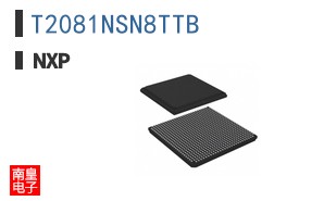T2081NSN8TTB