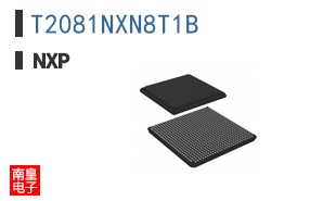 T2081NXN8T1B