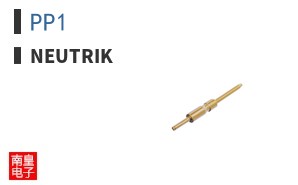PP1
