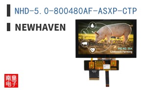 NHD-5.0-800480AF-ASXP-CTP