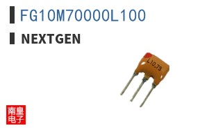 FG10M70000L100