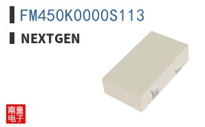 FM450K0000S113