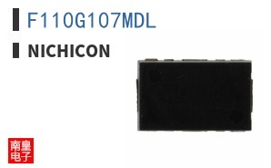 F110G107MDL